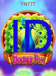 DoubleFly: Panduan Lengkap Permainan Baru yang Mendebarkan