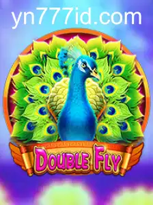 DoubleFly: Panduan Lengkap Permainan Baru yang Mendebarkan